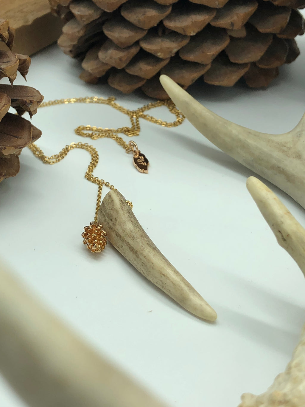 Real antler tip necklace with mini pinecone in gold. 